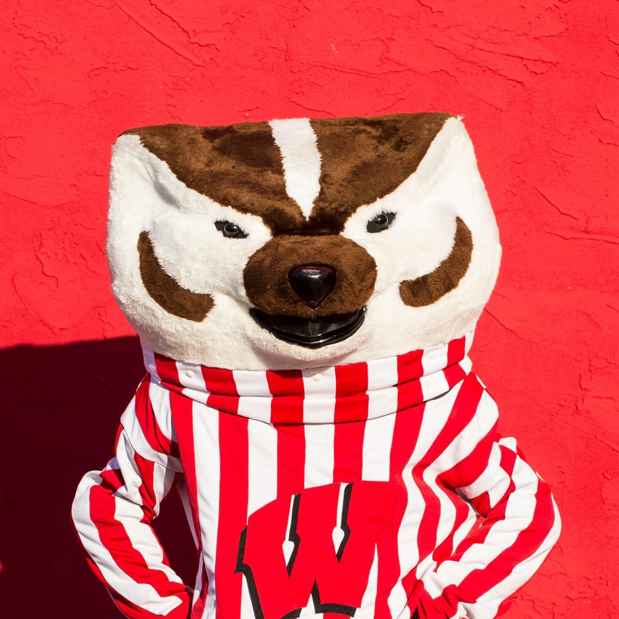 Mike Walz