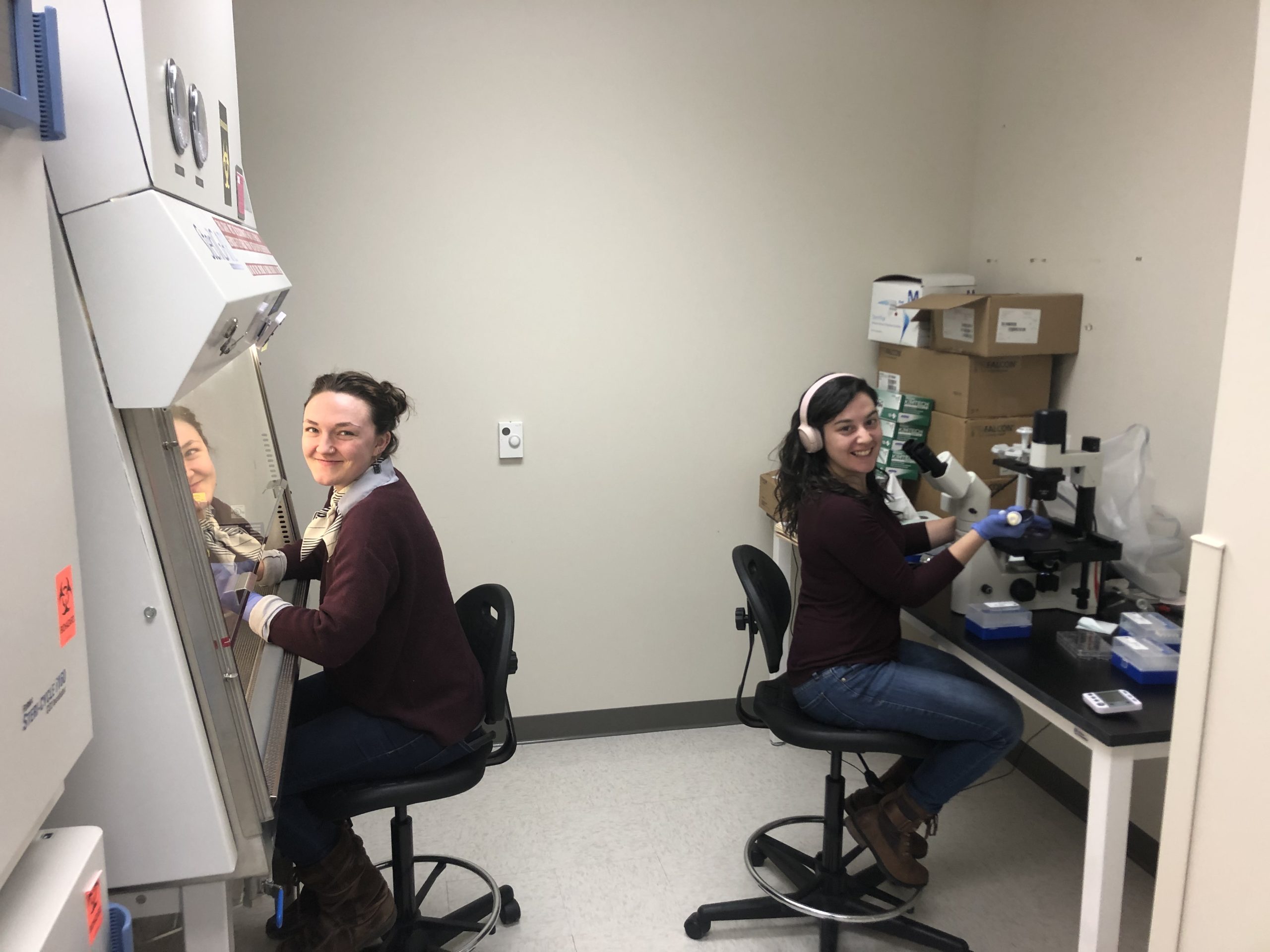 Jen and Bayley working hard in tissue culture room